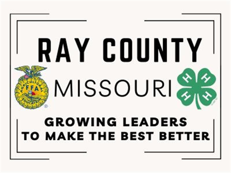 Logo for 2024 Ray County Fair