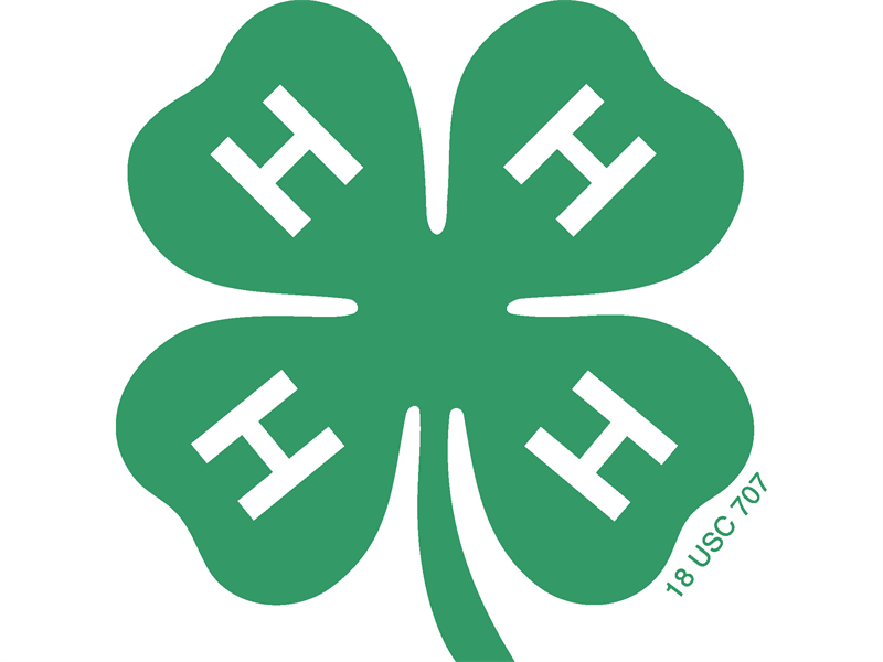 Logo for 2024 St. Joseph County Grange Fair - 4-H
