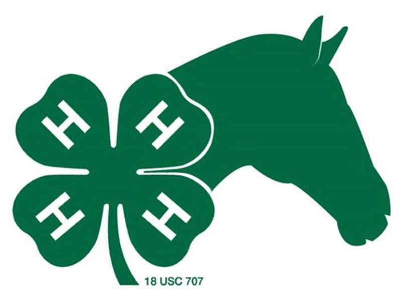 Logo for 2024 McCook County Horse Show