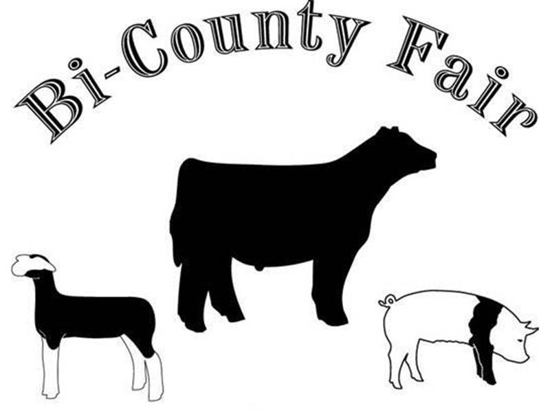 Logo for 2024 Bi-County Fair