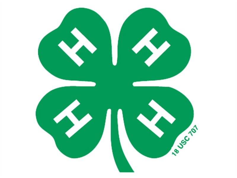 Logo for 2024 Lincoln County 4-H Achievement Days