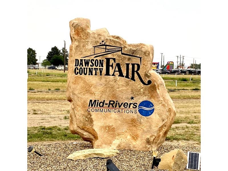 Logo for Dawson County Fair 2024