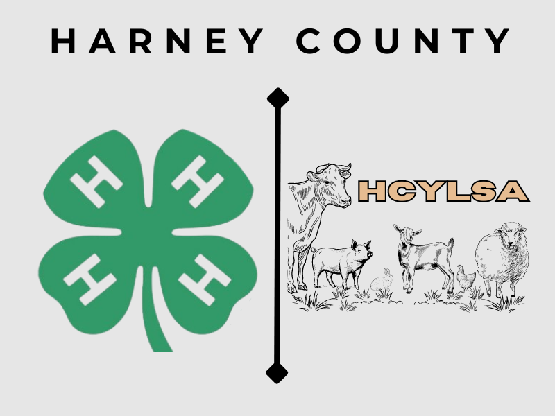 Logo for 2024 Harney County Fair