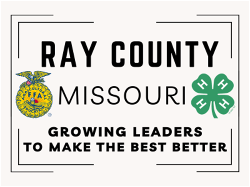 Logo for 2026 Ray County Fair